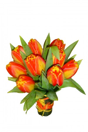 Bouquet de Tulipas IVA